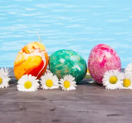 Easter eggs and flowers by a swimming pool